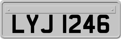 LYJ1246