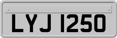 LYJ1250