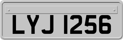LYJ1256