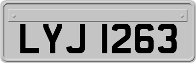 LYJ1263