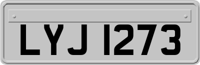 LYJ1273