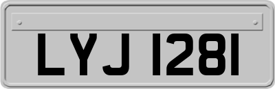 LYJ1281