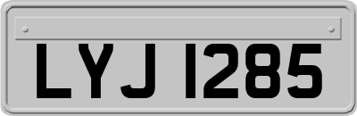 LYJ1285