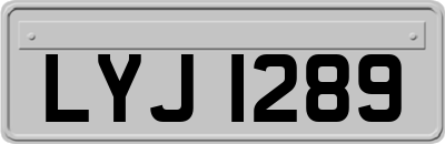 LYJ1289