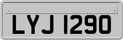 LYJ1290