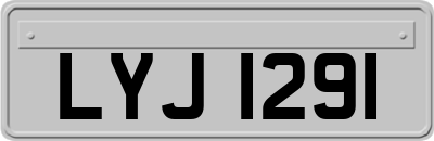 LYJ1291