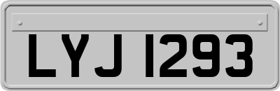LYJ1293