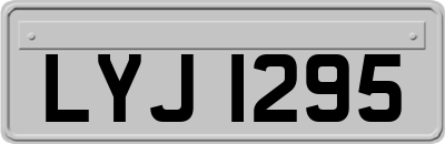 LYJ1295