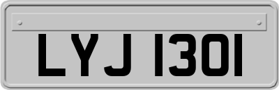 LYJ1301