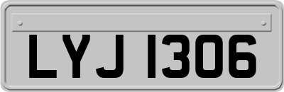 LYJ1306