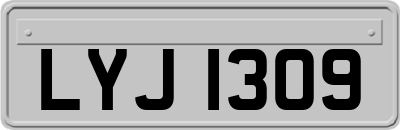 LYJ1309