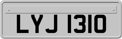 LYJ1310