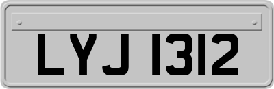 LYJ1312