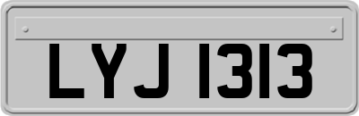 LYJ1313