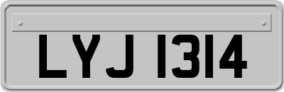 LYJ1314