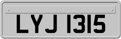 LYJ1315