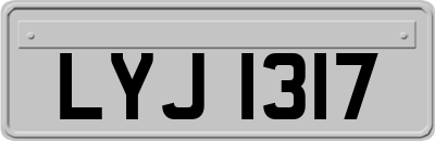 LYJ1317