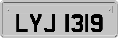LYJ1319
