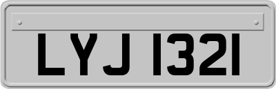 LYJ1321