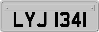 LYJ1341