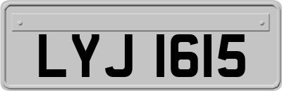 LYJ1615