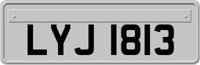 LYJ1813