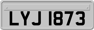 LYJ1873