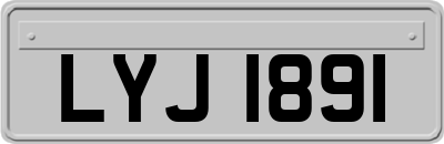 LYJ1891
