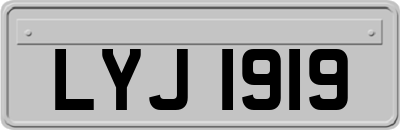 LYJ1919