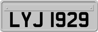 LYJ1929