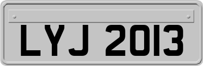 LYJ2013
