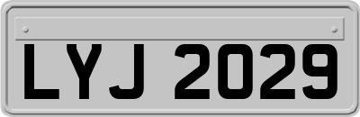 LYJ2029