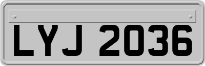 LYJ2036