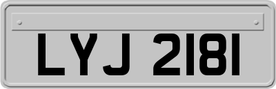 LYJ2181
