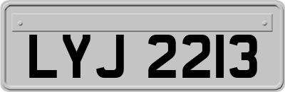 LYJ2213