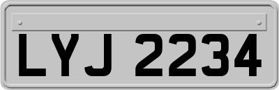 LYJ2234