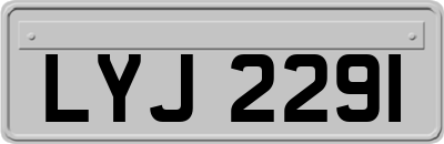 LYJ2291