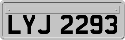 LYJ2293