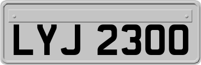 LYJ2300