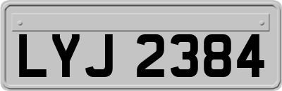LYJ2384