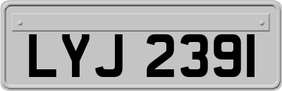 LYJ2391