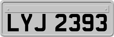 LYJ2393