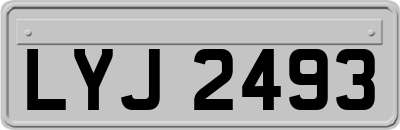 LYJ2493
