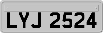 LYJ2524