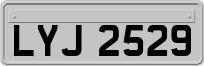 LYJ2529