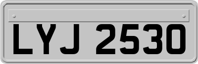 LYJ2530