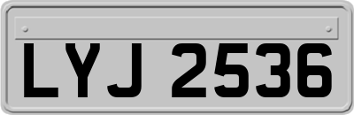 LYJ2536