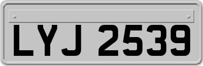 LYJ2539