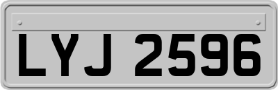 LYJ2596