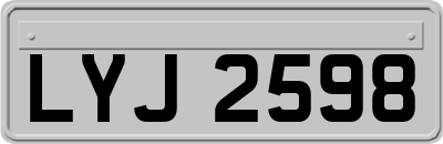 LYJ2598